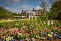 072 Boone Hall Plantation